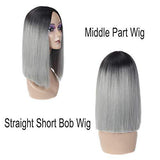 Angie Queen T1b/Grey Straight Middle Part Frontal Lace Short Cut Bob Wig
